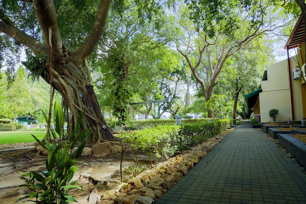 Miridiya Lake Resort Anuradhapura Eksteriør bilde